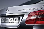 BlueTEC Hybrid